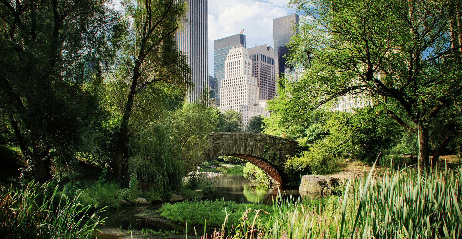 Arcadis e Descarbonizacao Industrial Impacto e Sustentabilidade