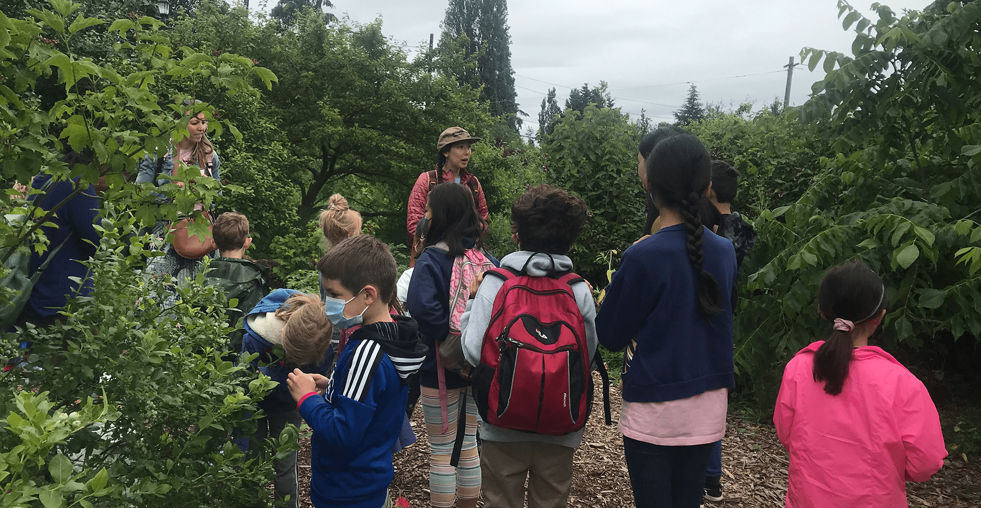 Tackling food insecurity with City Fruit