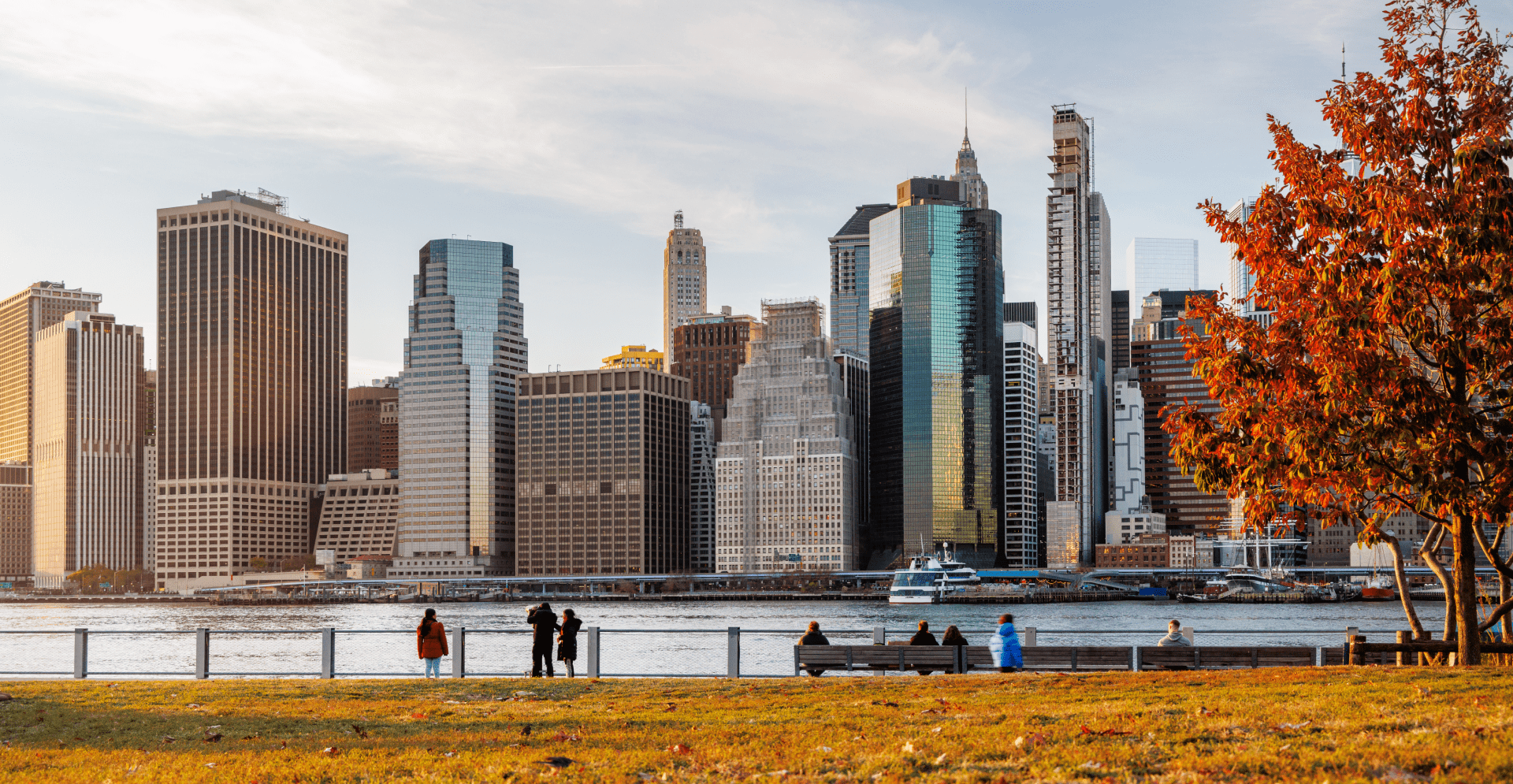 A vibrant tree displaying bright red leaves against a clear blue sky.