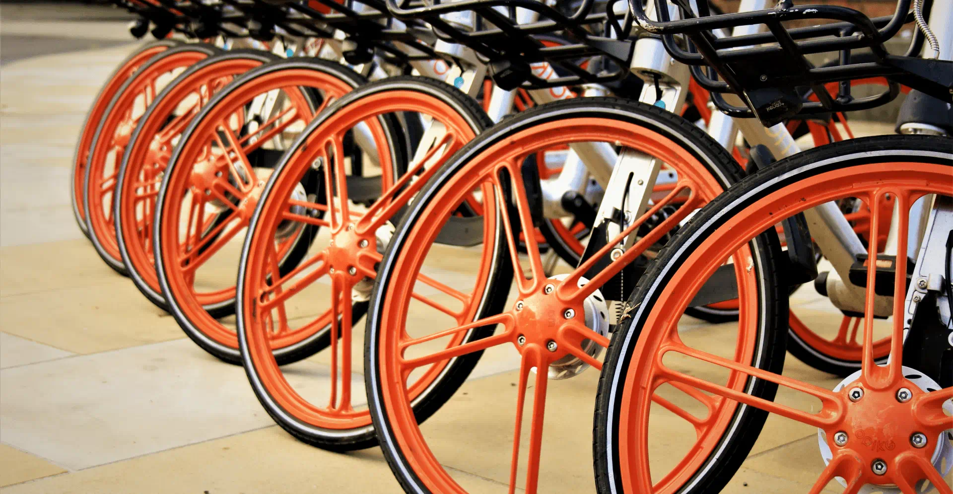 Several orange and black bicycles parked in a neat row, showcasing their vibrant colors.